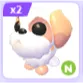 N SHIH TZU 