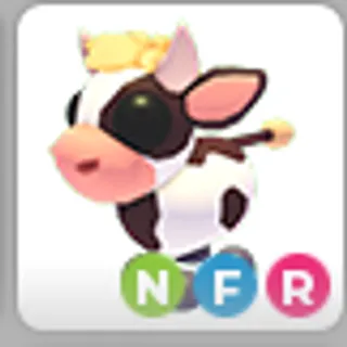 COW CALF NFR