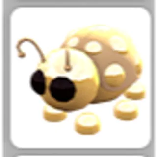 GOLDEN LADYBUG