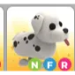 NFR DALMATIAN