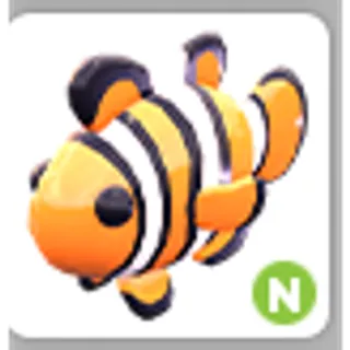 CLOWNFISH N