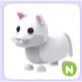 N SNOW PUMA