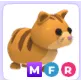 MFR GINGER CAT