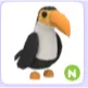 N TOUCAN