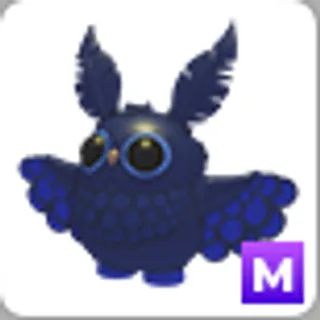 STYGIAN OWL M