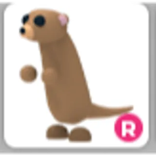 MEERKAT R