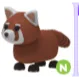 N RED PANDA