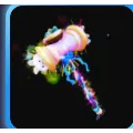 EASTER HAMMER | HYPERSHOT