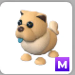 TAN CHOW-CHOW M