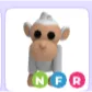NFR ALBINO MONKEY