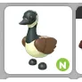 N CANADIAN GOOSE