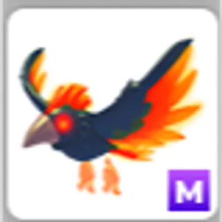 STORM CONDOR M
