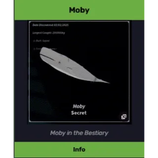 MOBY FISCH