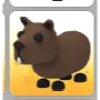 CAPYBARA