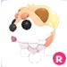 R CRYPTID