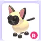 R SIAMESE CAT