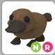 NR Platypus | Adopt Me!