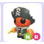 NR KELP RAIDER 
