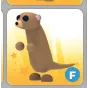 F MEERKAT