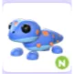 N GECKO