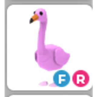 FLAMINGO FR