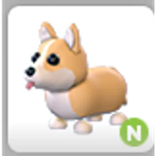 CORGI N