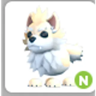 DIRE WOLF N