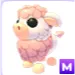 M ANGUS COW