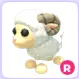 R RAM