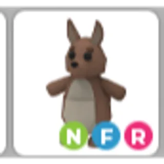 KANGAROO NFR