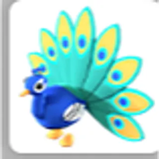 PEACOCK