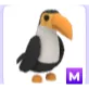M TOUCAN