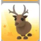 REINDEER