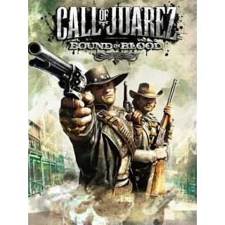STEAM - Call of Juarez: Bound In Blood