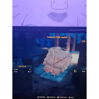 Tattered field jacket