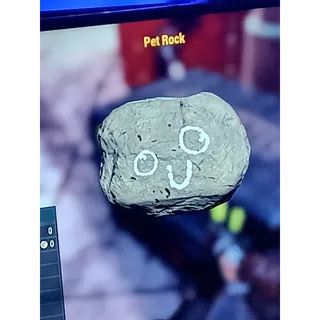 Pet rock