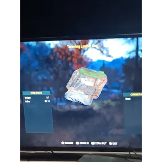 Traveling leather coat