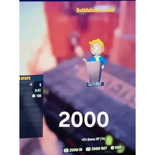 2000 leader bobbleheads