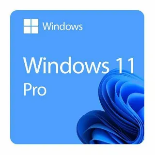 Windows 11 pro