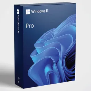 Windows 11 pro
