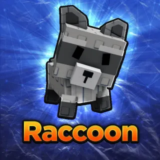 10x Raccoon