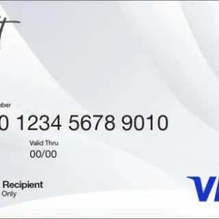 Visa E-Gift Card (USA) 87$