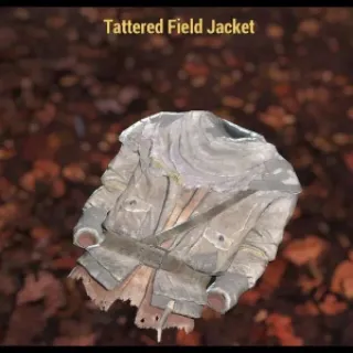 Tattered Field Jacket Bundle