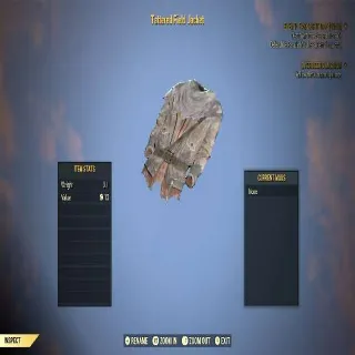 Tattered Field Jacket