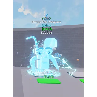 Brr Es Teh Patipum Aqua 1 Trait 1Qi/s