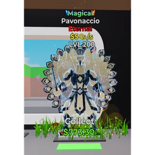 Pavonaccio Magical 5Qi/s