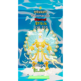 Pavonaccio Heaven 1 Trait