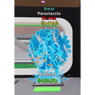 Pavonaccio Aqua 1.4Qi/s