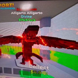 Alligarto BM m