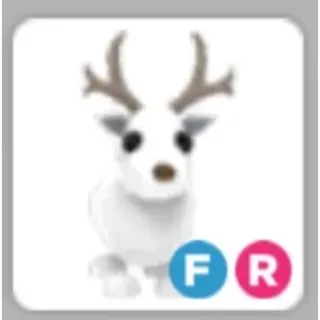Arctic REINDEER (FR)